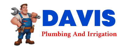 Trusted plumber in TREADWELL